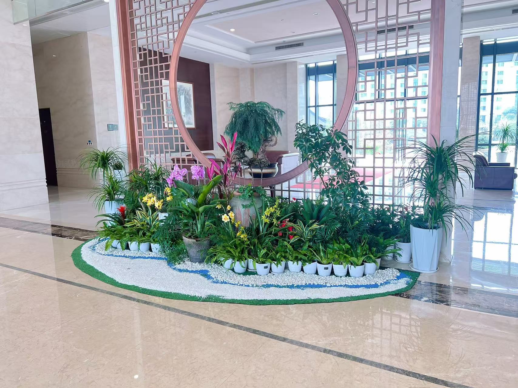 江北绿植出租方案来袭,给你全新绿色体验